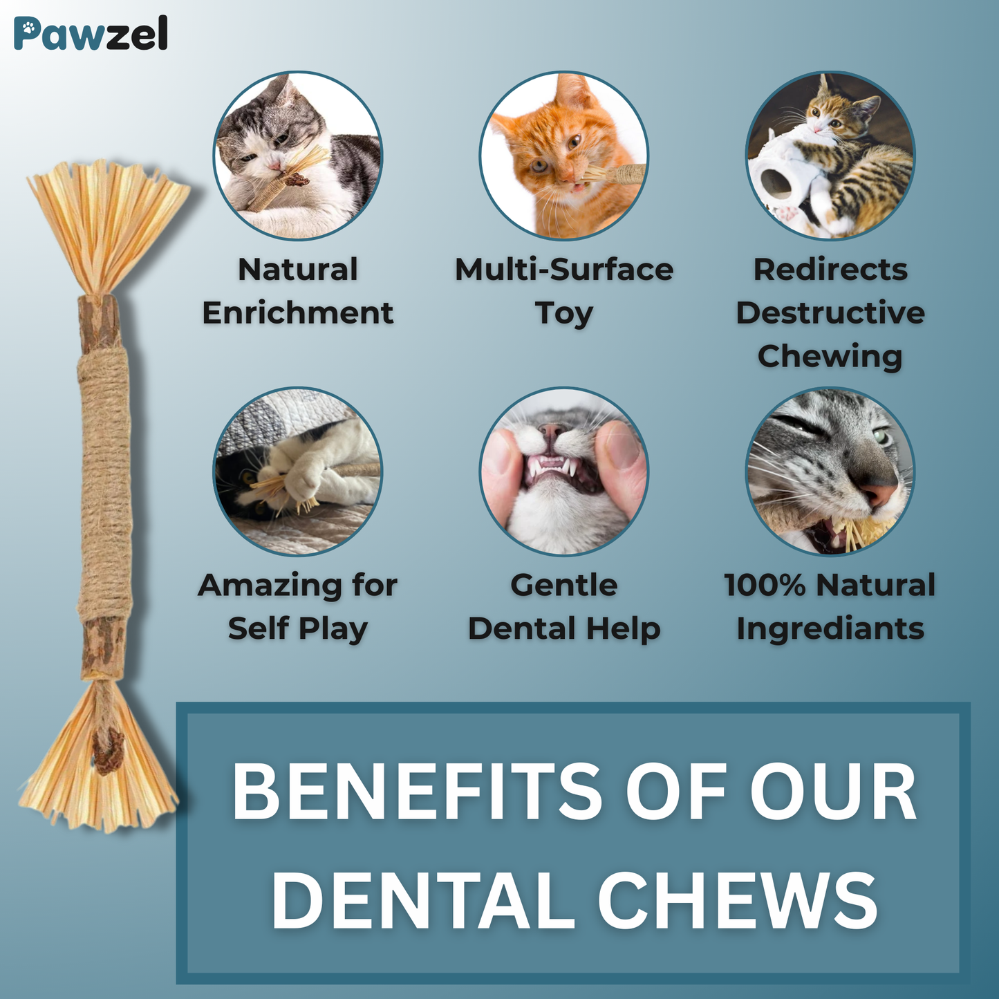 Pawzel™ Silvervine Dental Sticks