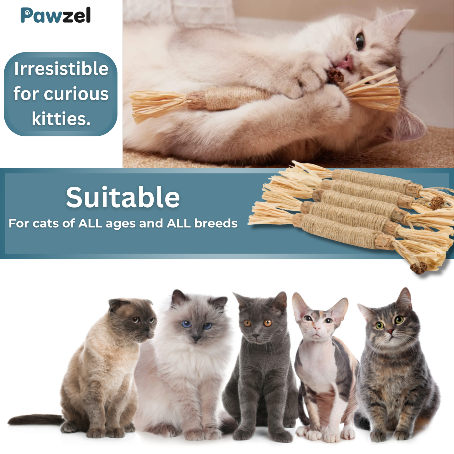 Pawzel™ Silvervine Dental Sticks
